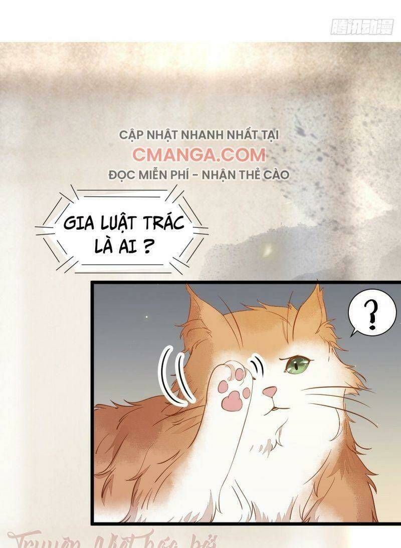 sát thủ vương phi không dễ chọc chapter 41 18