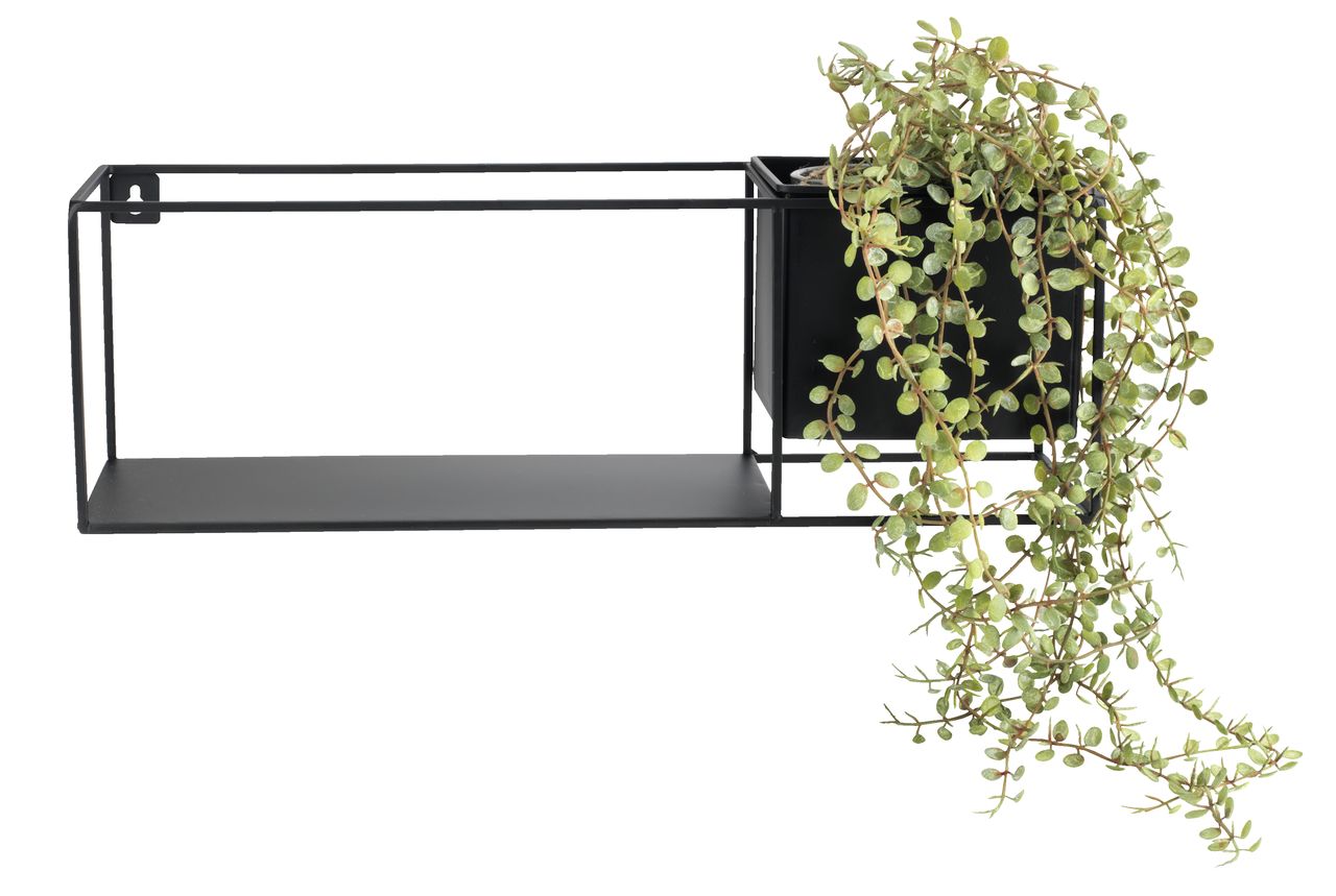 Kệ trang trí | JYSK Vilmer | kim loại | đen | R13xD40xC13cm