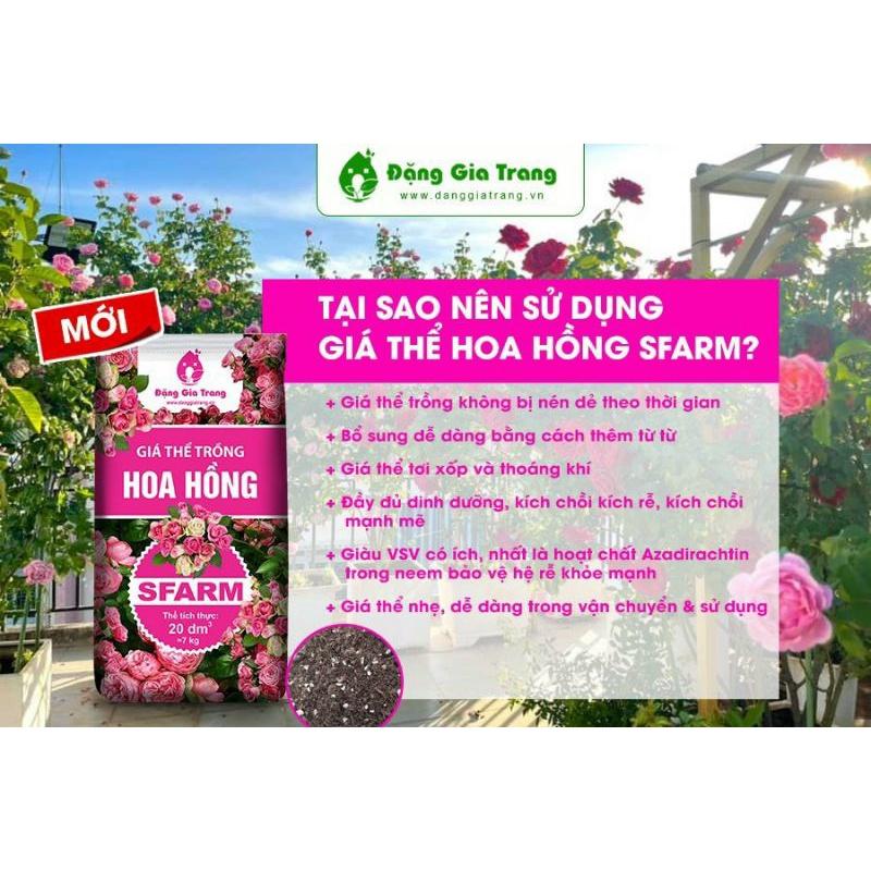 Giá thể trồng Hoa Hồng đầy đủ khoáng chất Sfarm bao 20dm3