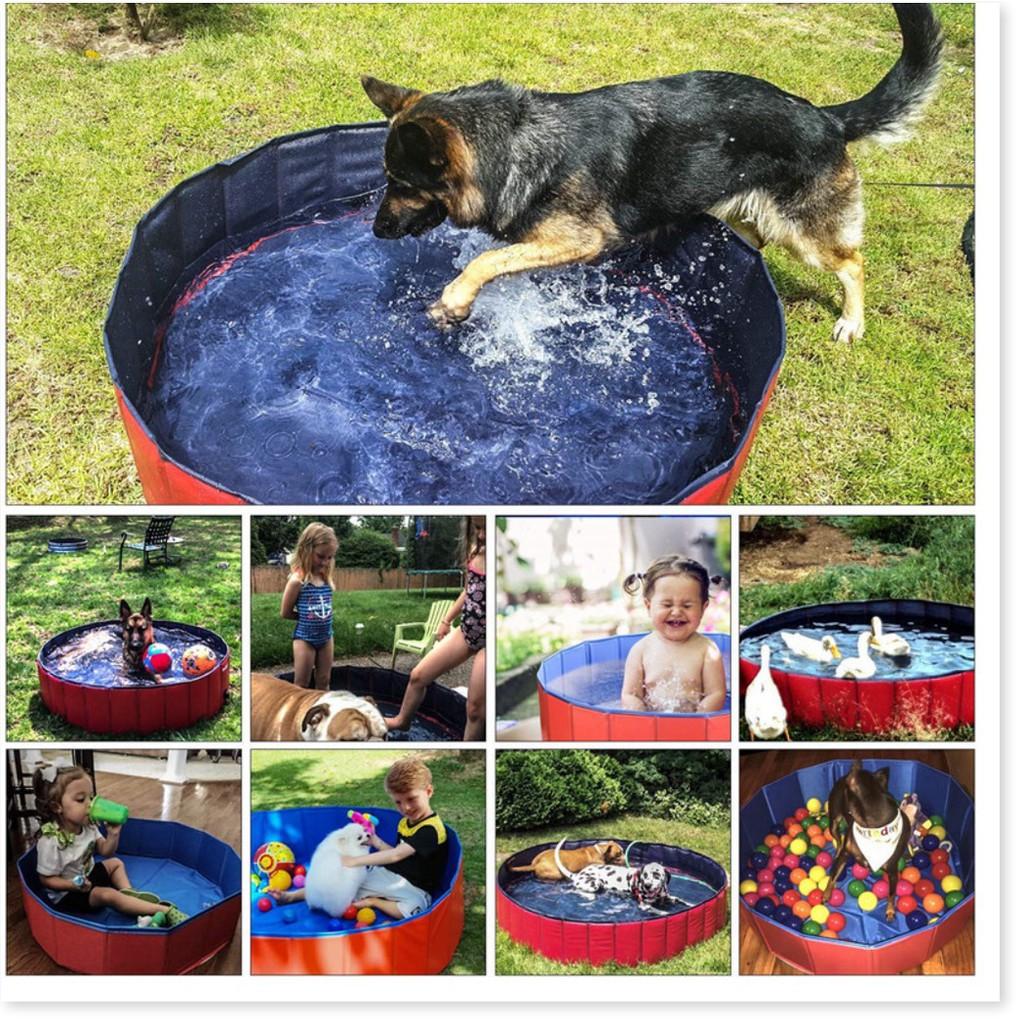 Hồ tắm Thú Cưng PORTABLE PAW POOL 80x20cm