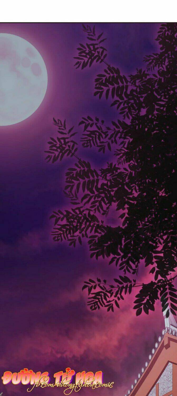 mau xuyên hướng dẫn tự cứu vật hi sinh nữ phụ chapter 6 26