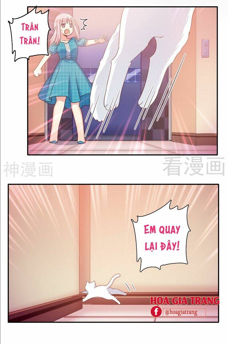 phục thù thiếu gia tiểu điềm thê chapter 58 19