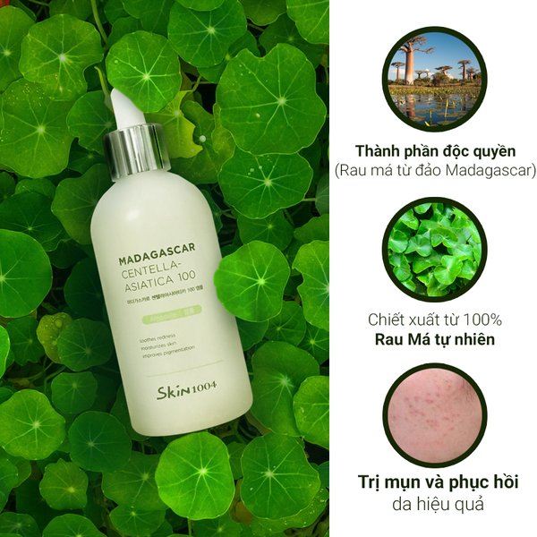 Tinh Chất Rau Má Giảm Mụn, Phục Hồi Da Skin1004 Madagascar Centella Asiatica 100 Ampoule 50ml