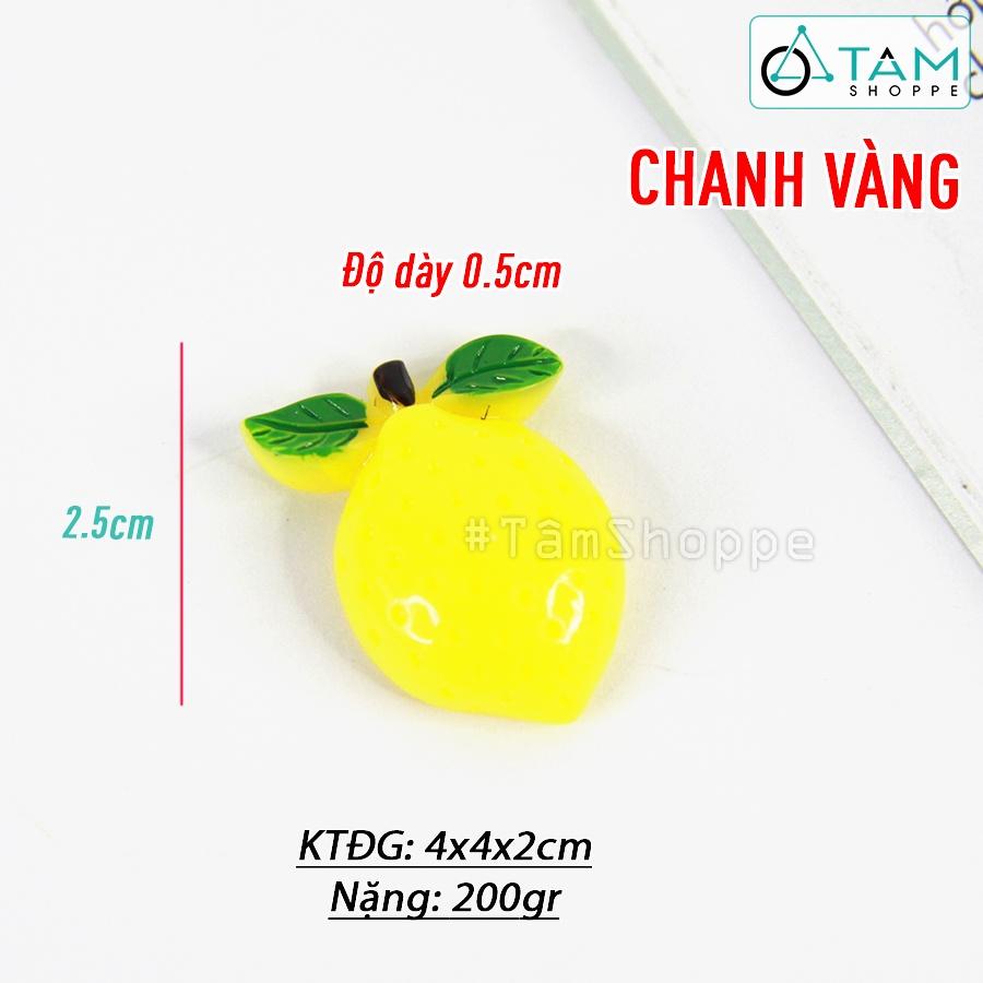 Nam châm hít tủ lạnh mô hình trái cây HTL-08