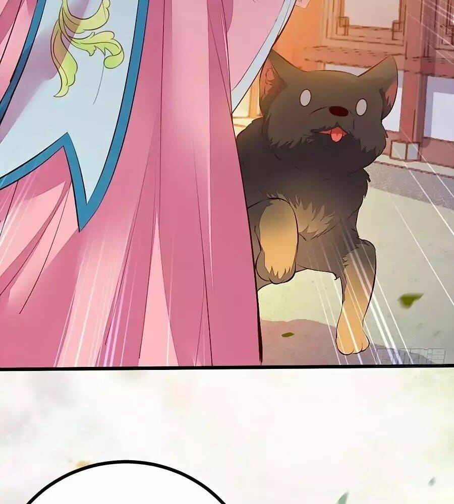 thần y khí nữ: ngự thú cuồng phi của quỷ đế chapter 61 64