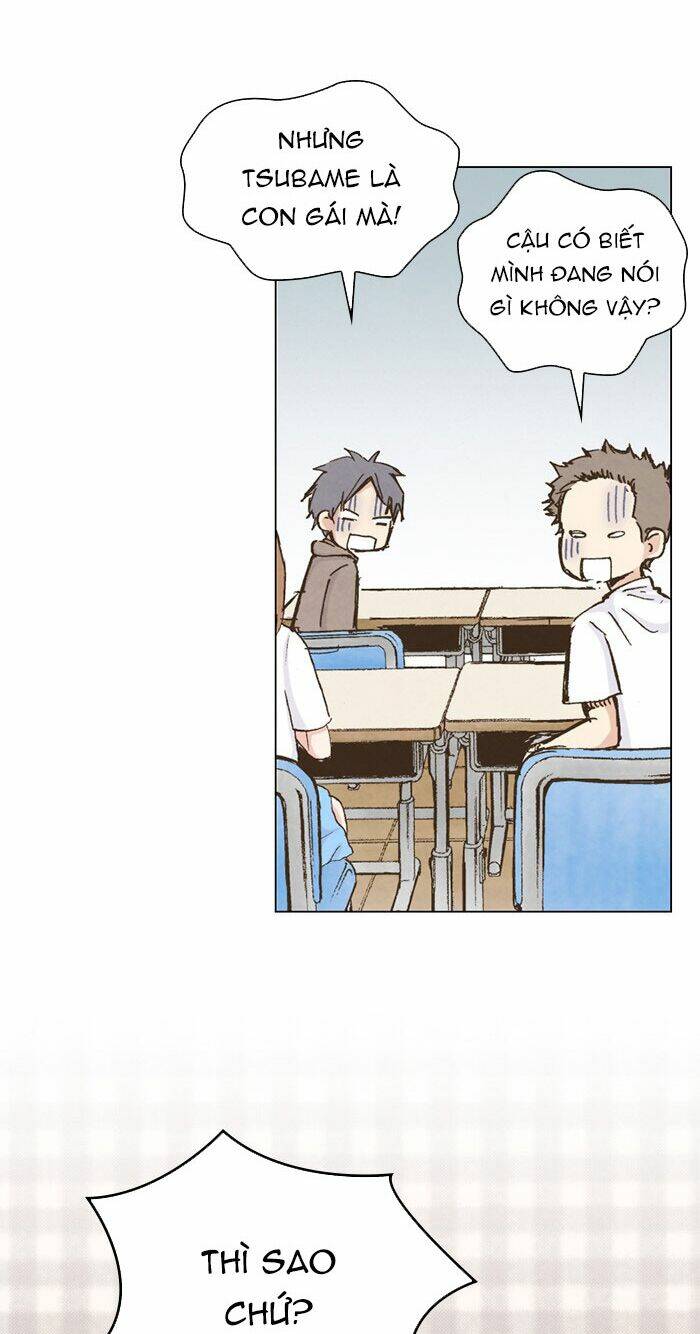 marry me! chapter 50 17