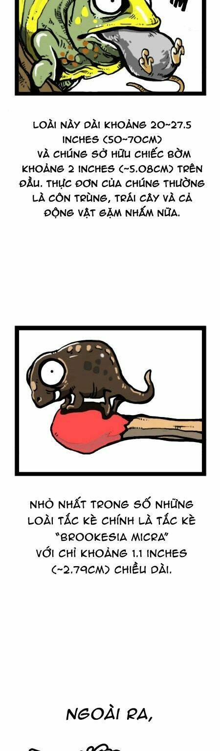 earth, human, and animal chapter 19 10