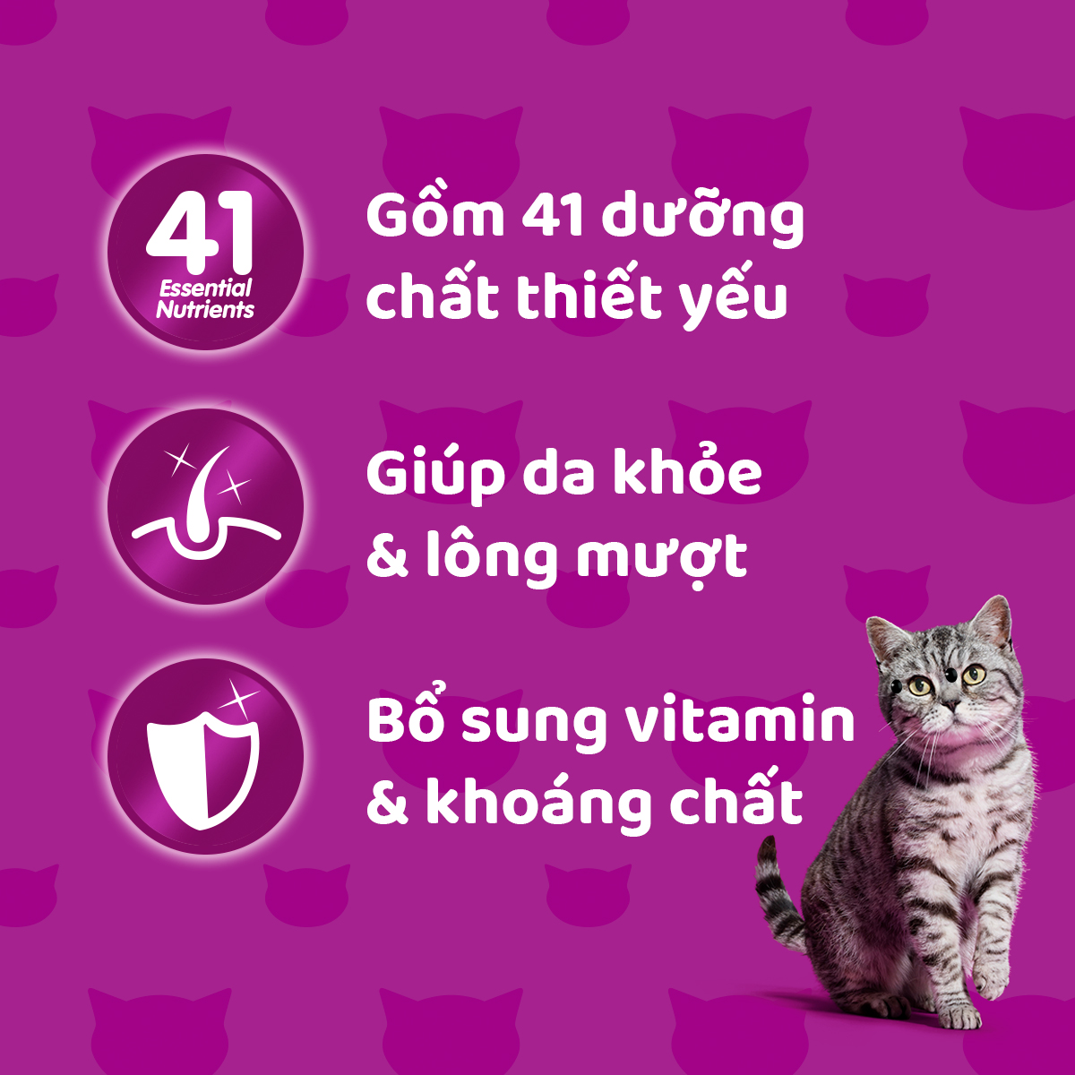 WHISKAS Thức ăn cho mèo lớn dạng sốt vị cá saba nướng 80g (12 gói)