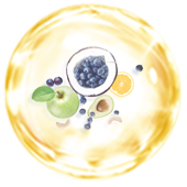 PLACENTA 82X 450000 CLASSIC