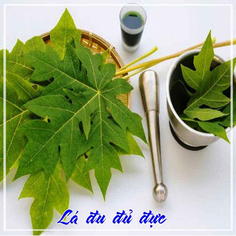 Lá Đu Đủ Đực khô sạch đóng gói 1kg