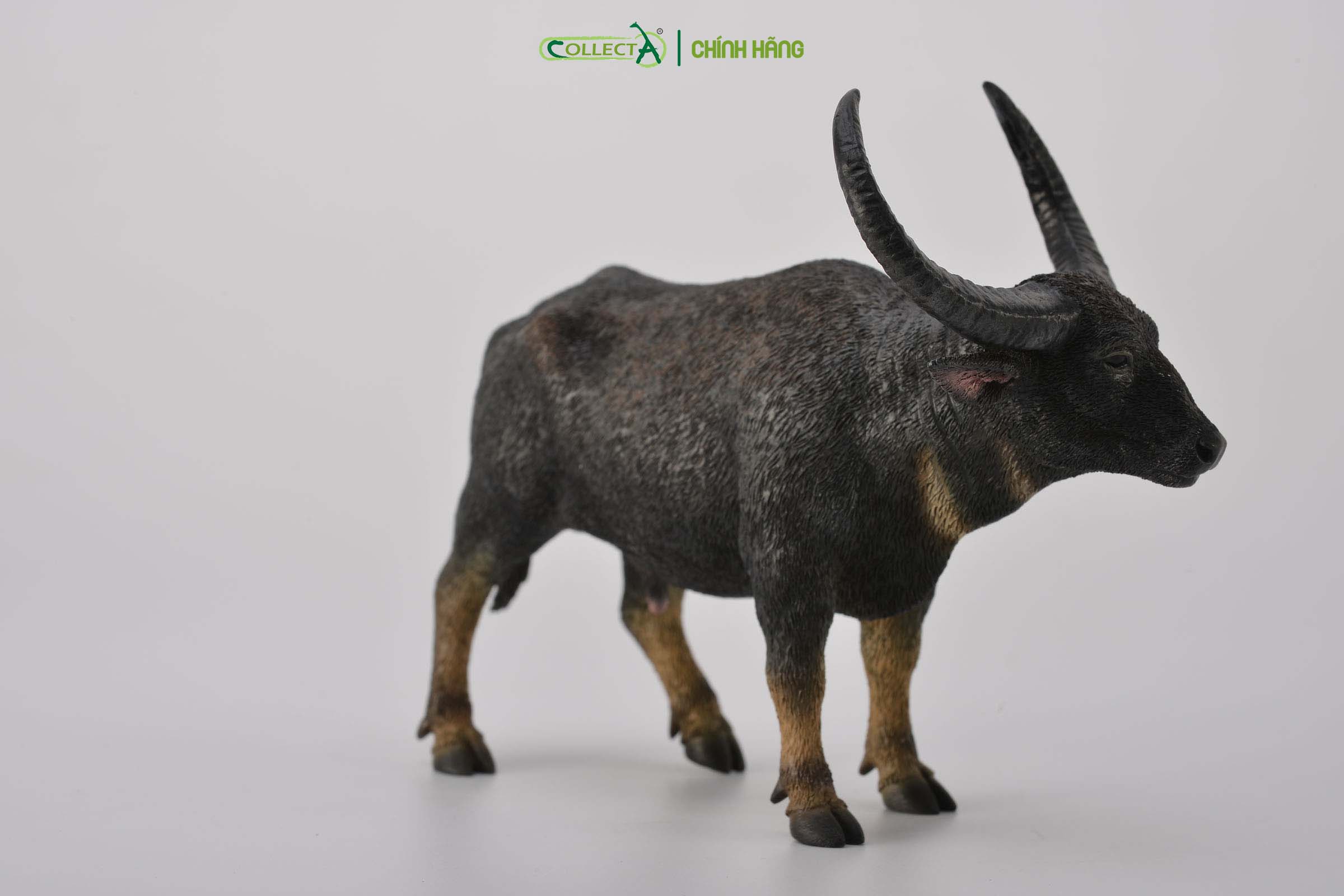 Mô hình thu nhỏ: Trâu rừng - Wild Water Buffalo, hiệu: CollectA, mã HS 9650050[88657] -  Chất liệu an toàn cho trẻ - Hàng chính hãng