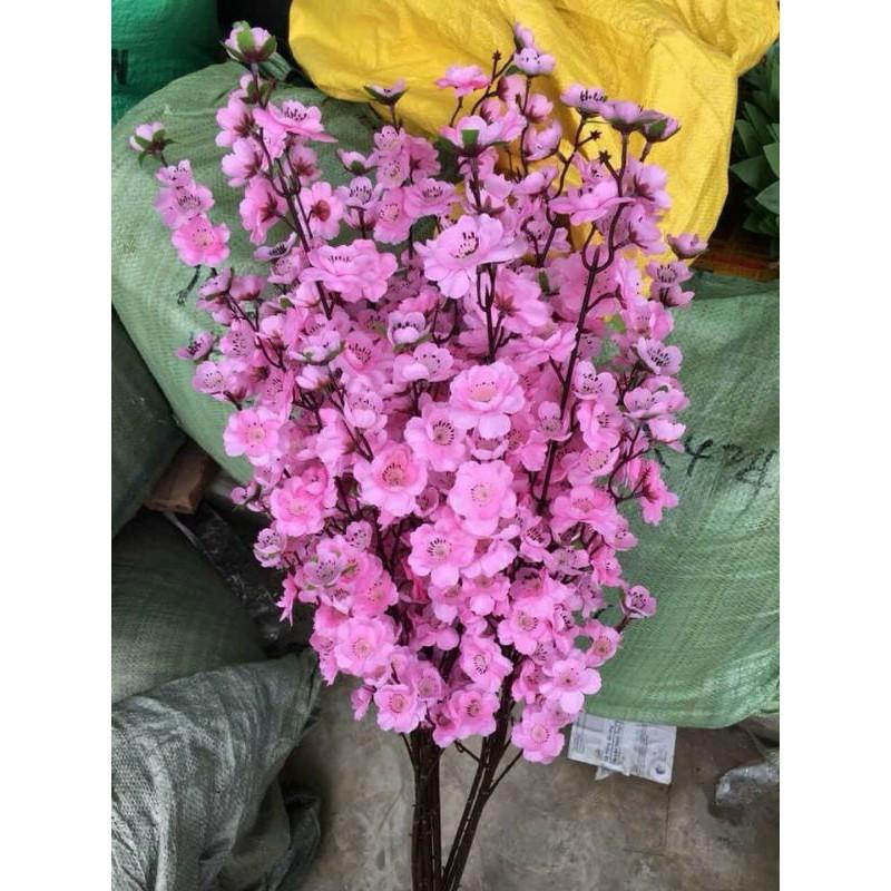 Hoa trang trícành đào-cành mai vàng