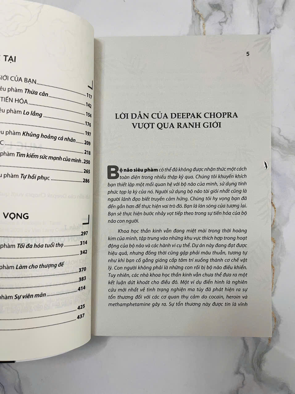 Bộ Não Siêu Phàm