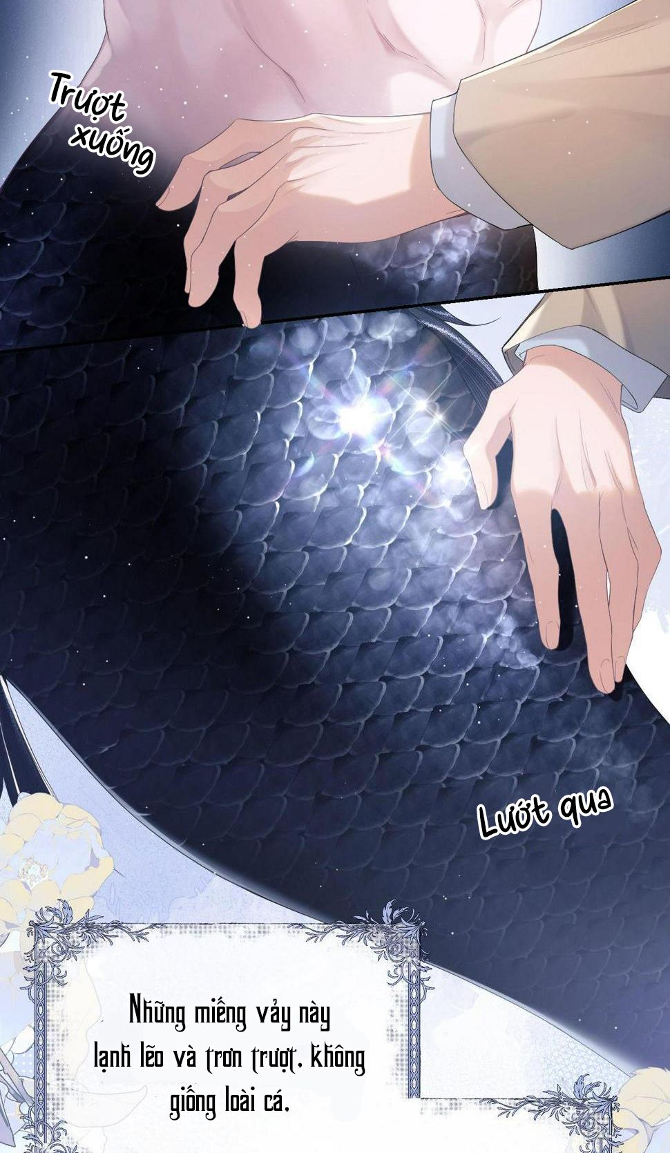 người cá desahrow chapter 1 32