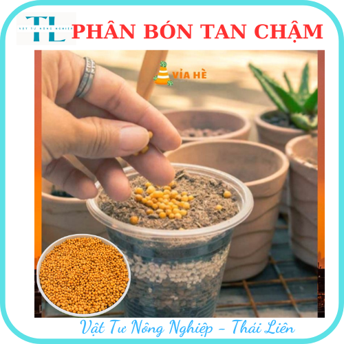 Phân tan chậm thái lan phân vàng Osmocote 14-14-14 túi 100g tiện lợi trồng xương rồng sen đá