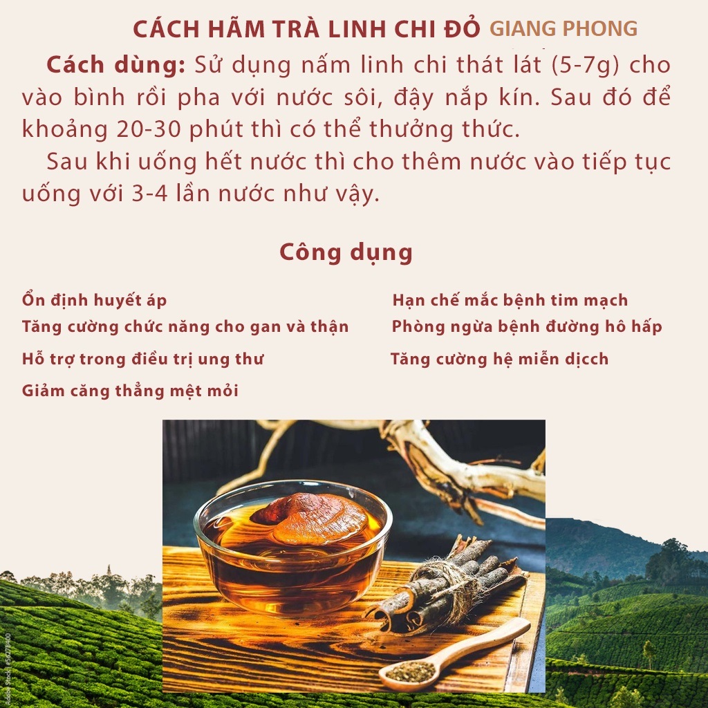 Nấm Linh Chi Đỏ Thương Hiệu Giang Phong Đạt Chuẩn OCOP 4 Sao , Thực Phẩm Giàu Chất Dinh Dưỡng Tốt Cho Sức Khỏe - Rất Phù Hợp Làm Quà Biếu Tặng Cho Gia Đình Và Những Người Thân Yêu Của Bạn