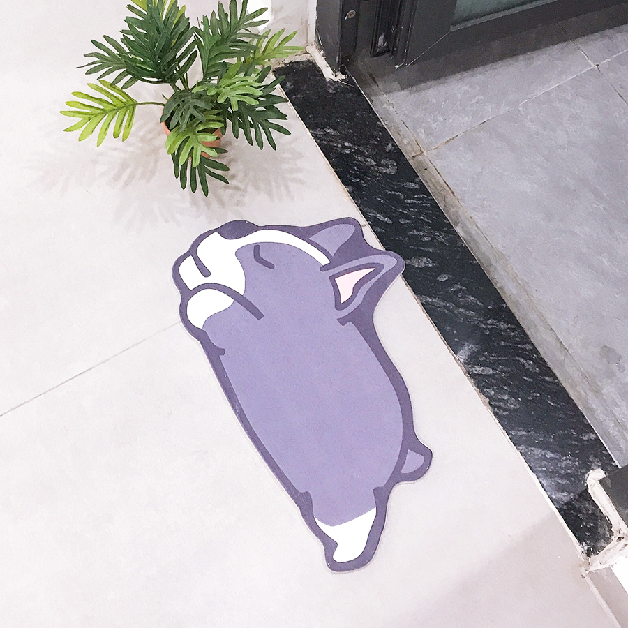 Thảm đá chùi chân siêu thấm- thảm dậm chân Foot mat- Carpet