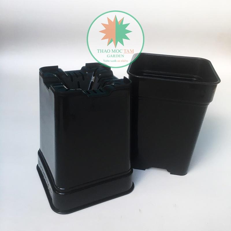 Set 5 cái Chậu Vuông Dày 18x23cm Trồng hoa, cây kiểng – Chất liệu nhựa PP, có độ dẻo,bền, chất lượng cao