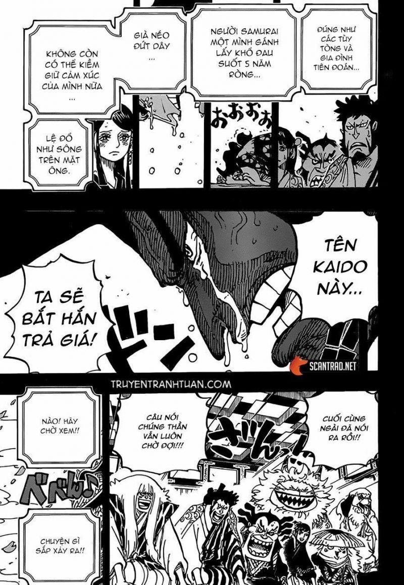 đảo hải tặc - one piece chapter 969 14