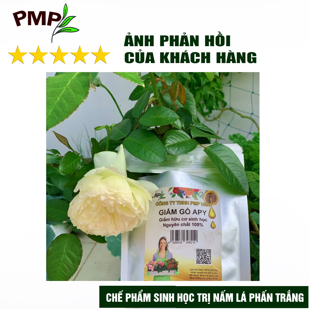 Combo 2 Túi Giấm Gỗ Sinh Học APY PMP Kháng Đốm Lá, Đốm Đen, Vàng Lá, Phấn Trắng Cho Hoa Hồng, Rau Sạch, Lan, Cây Cảnh