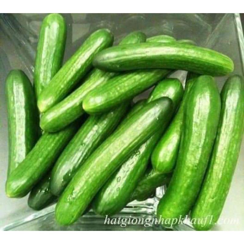 GẦN 50 HẠT GIỐNG DƯA LEO CHÙM TRANG NÔNG TN675