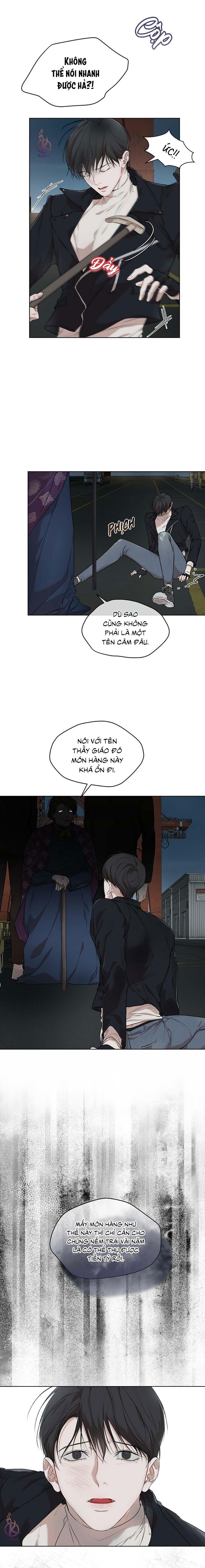 hình thái khởi sinh chapter 50 3