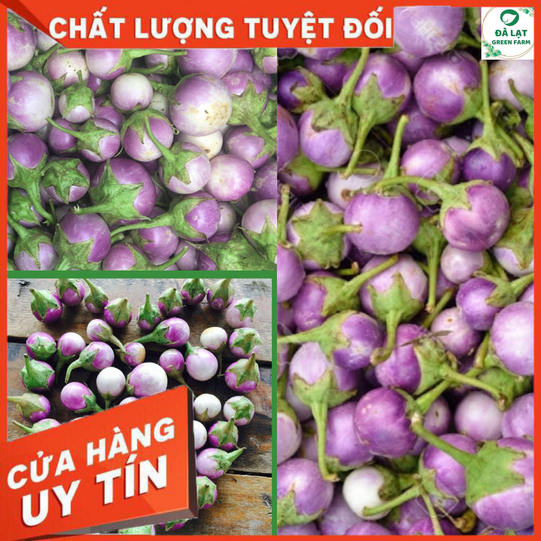 1GR - HẠT GIỐNG CÀ PHÁO TÍM