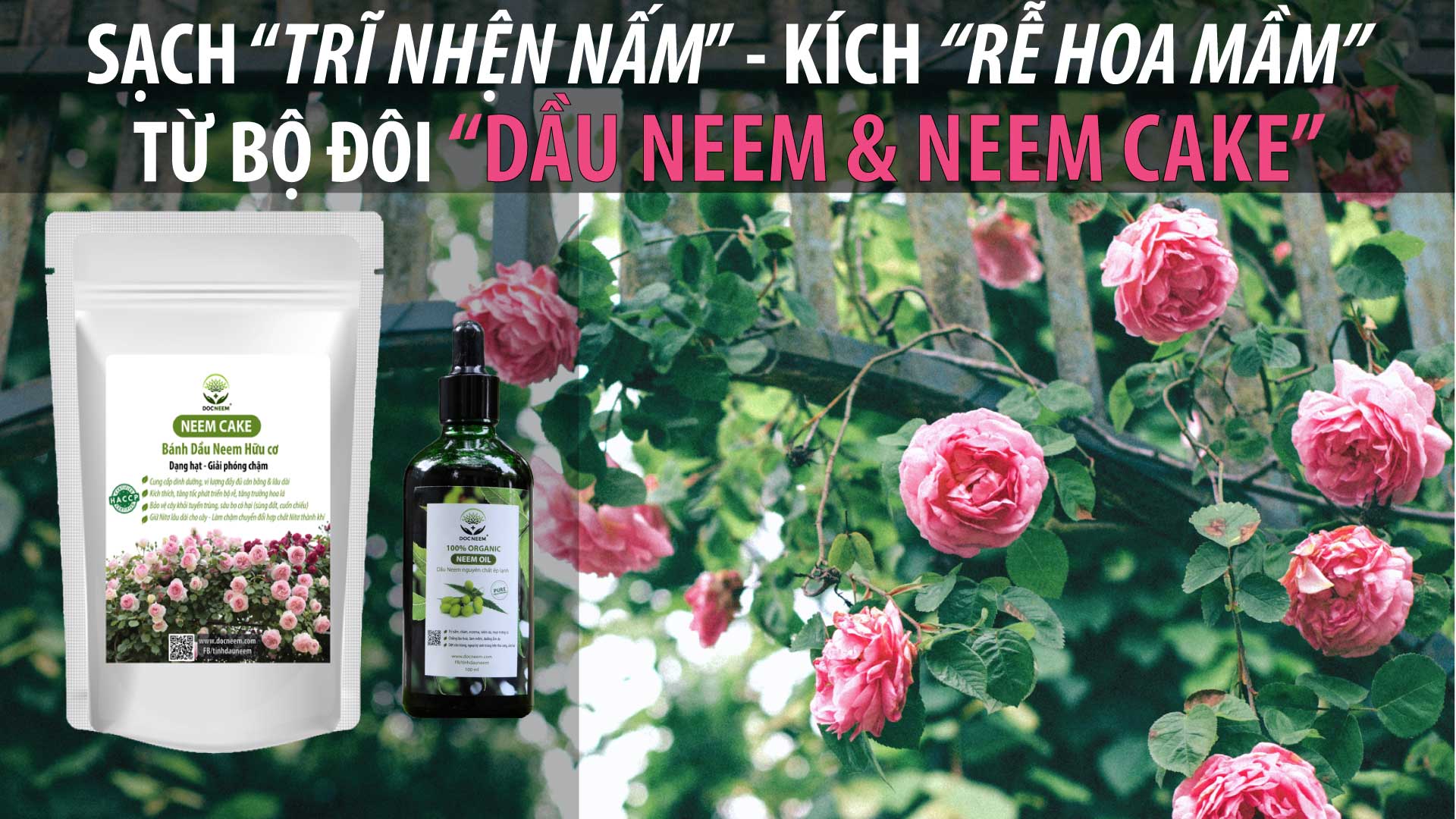 Combo Dầu Neem và Bánh dầu Neem hữu cơ DOCNEEM trị sâu bệnh, sùng đất cuốn chiếu, kích rễ hoa hồng chai 100ml và túi 1kg