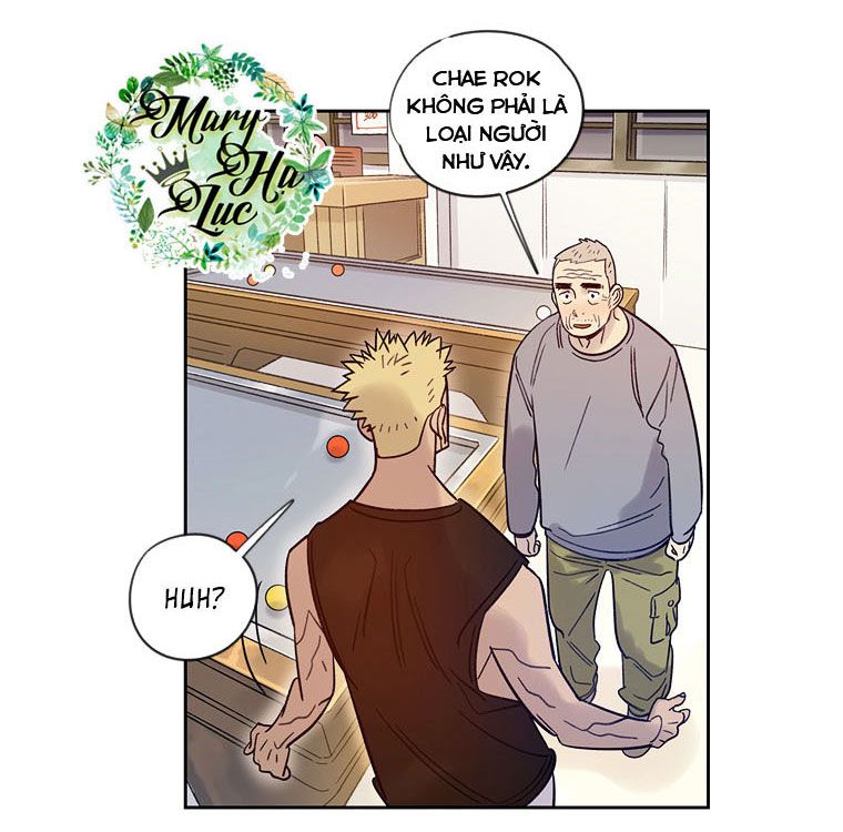 tôi muốn bay như một con bướm chapter 13 71