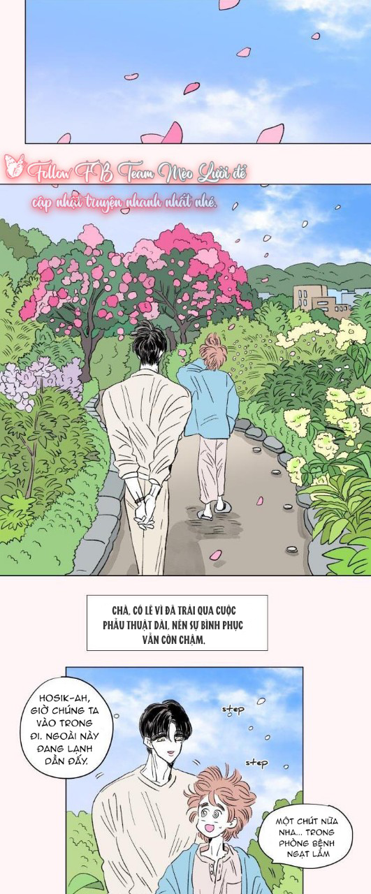 câu chuyện của hosik chapter 77 11