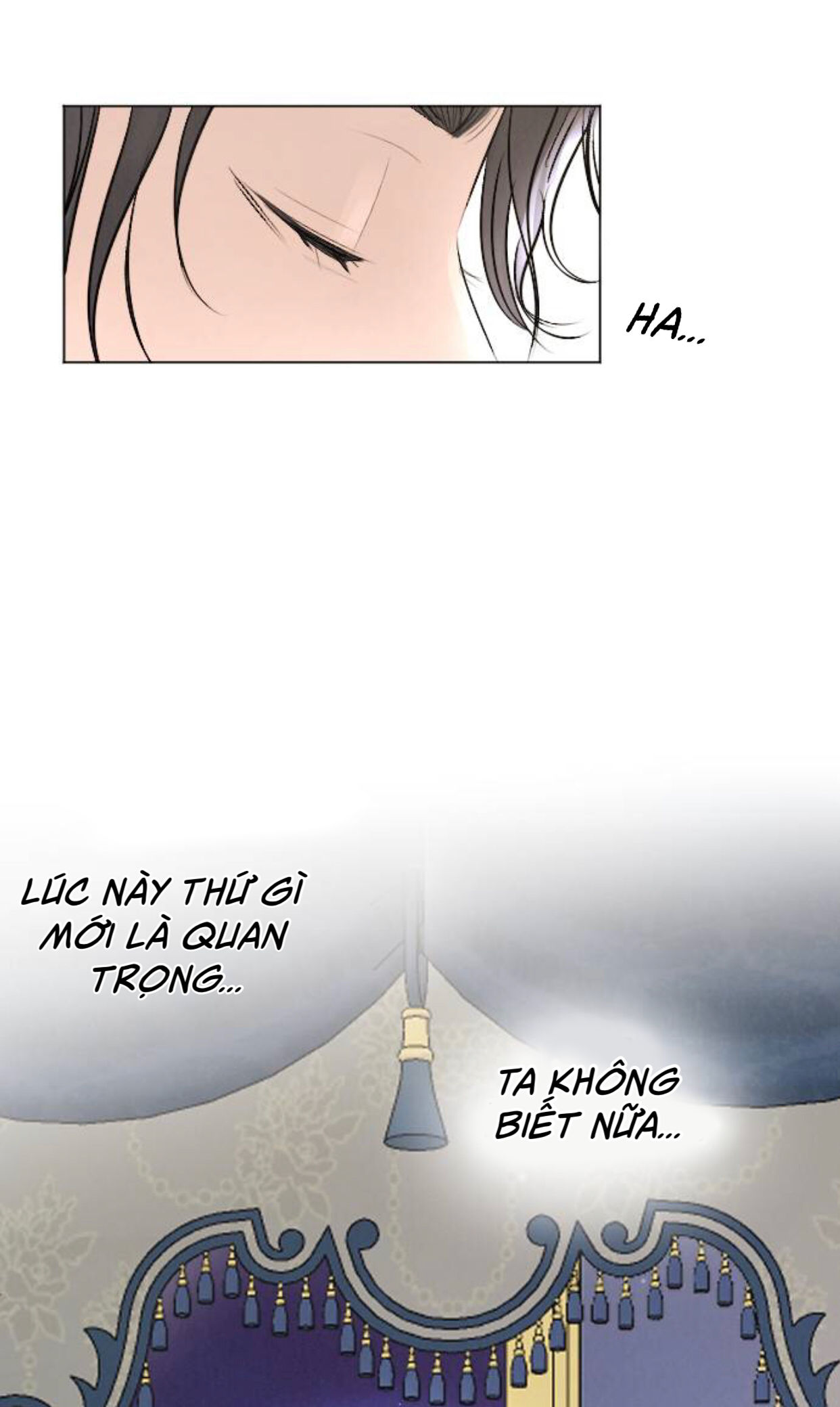 lựa chọn cuối cùng của tôi là nam phụ chapter 19 53