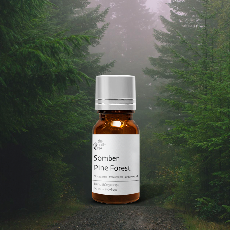 Tinh dầu phối hương 10ml Rừng thông ưu sầu - Somber Pine Forest