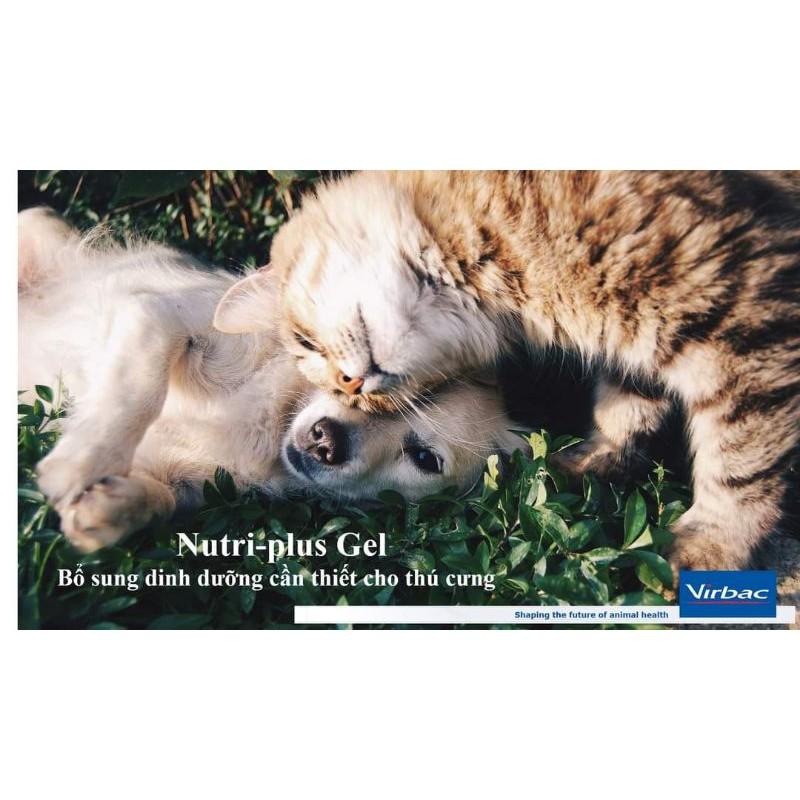 5 hộp Nutri plus Gel - dinh dưỡng cao cấp cho chó mèo yếu và còi cọc
