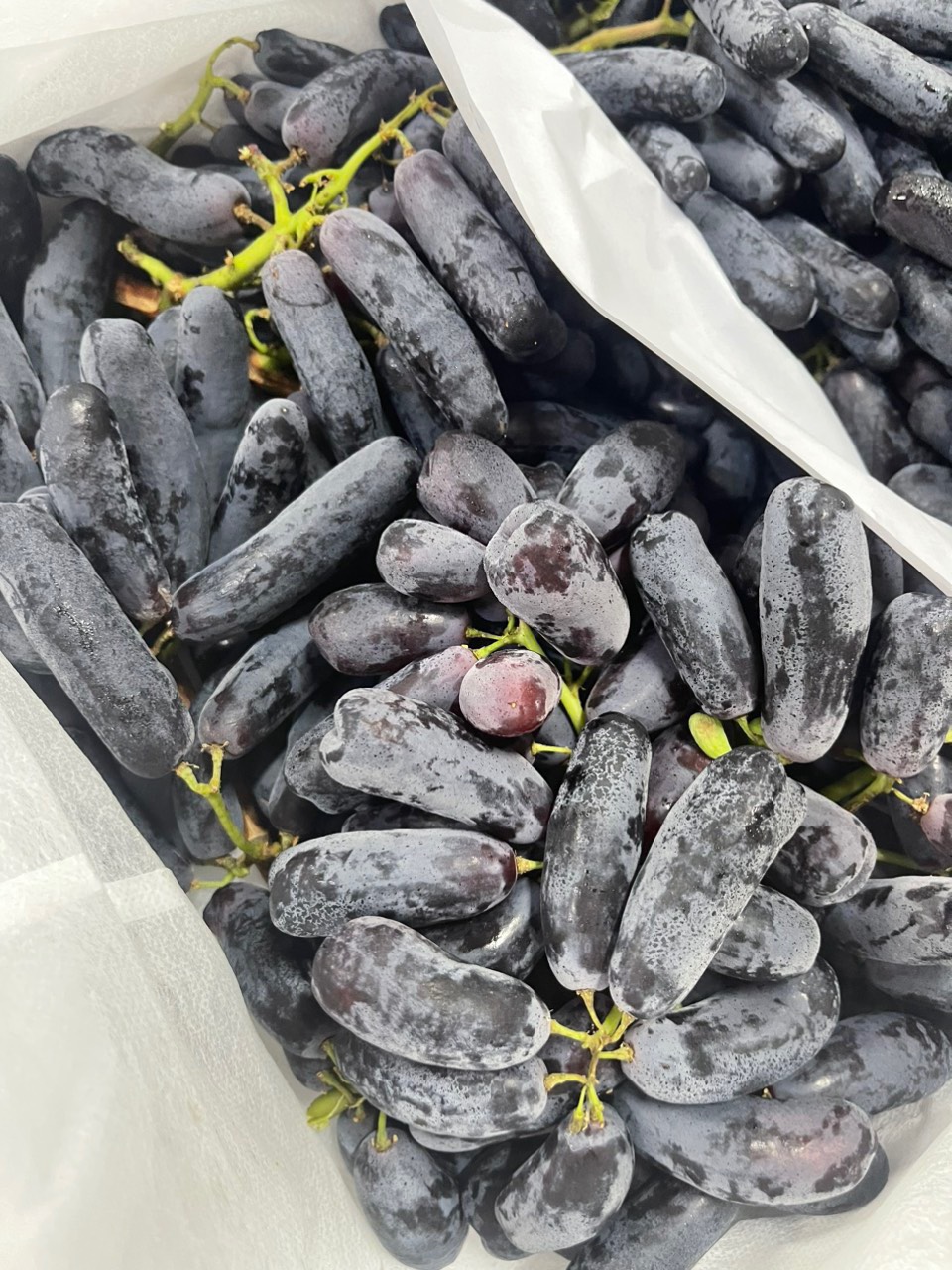 Nho ngon tay ÚC Siêu ngon ngọt