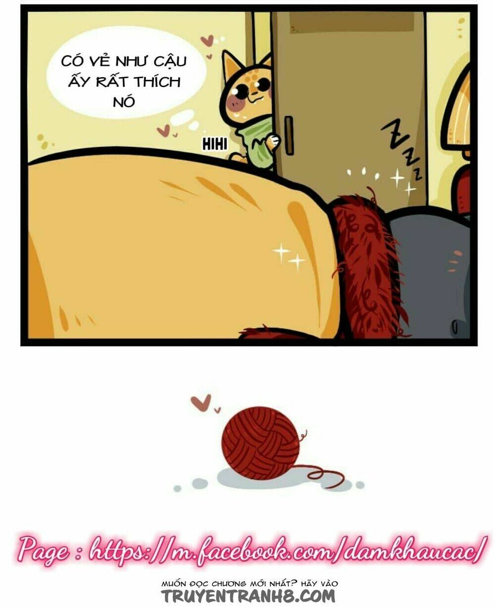 đời không như mình tưởng chapter 12 11