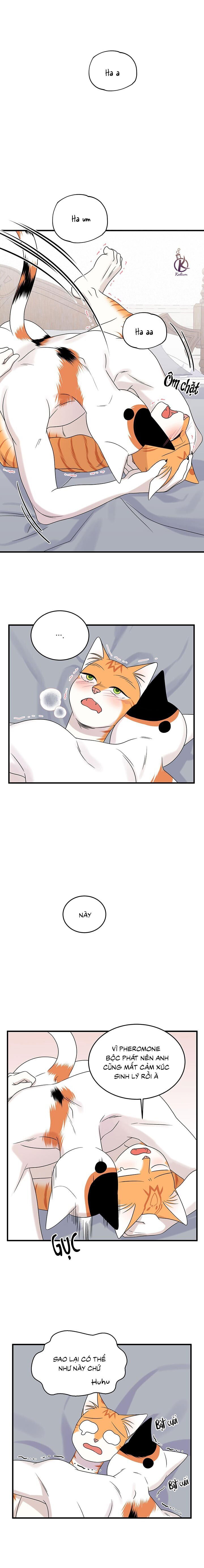 dự án xanh chapter 48 16