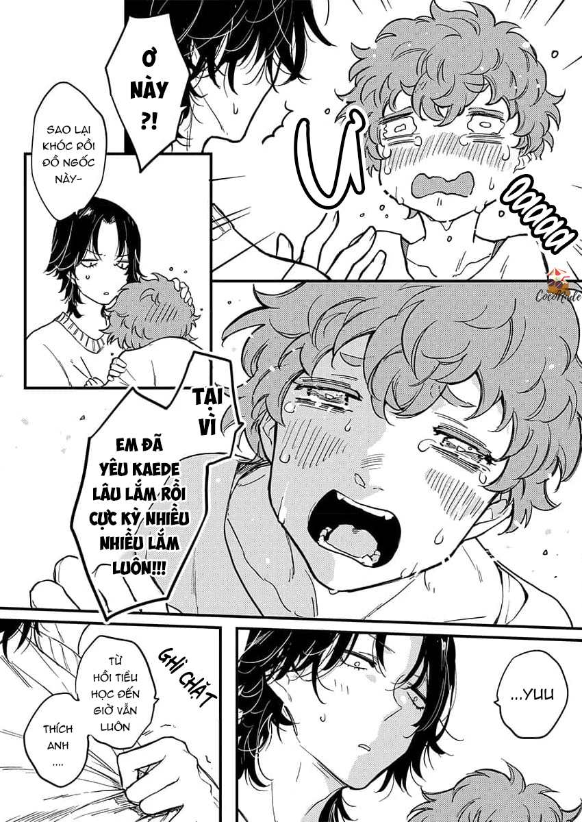 cậu bạn quyến rũ của tôi chapter 18 8