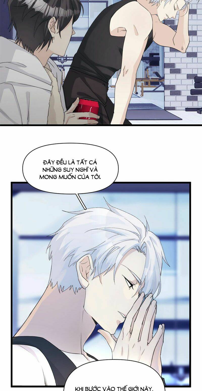 dù là sói cô độc cũng có tình yêu của sẻ nhỏ chapter 38 17