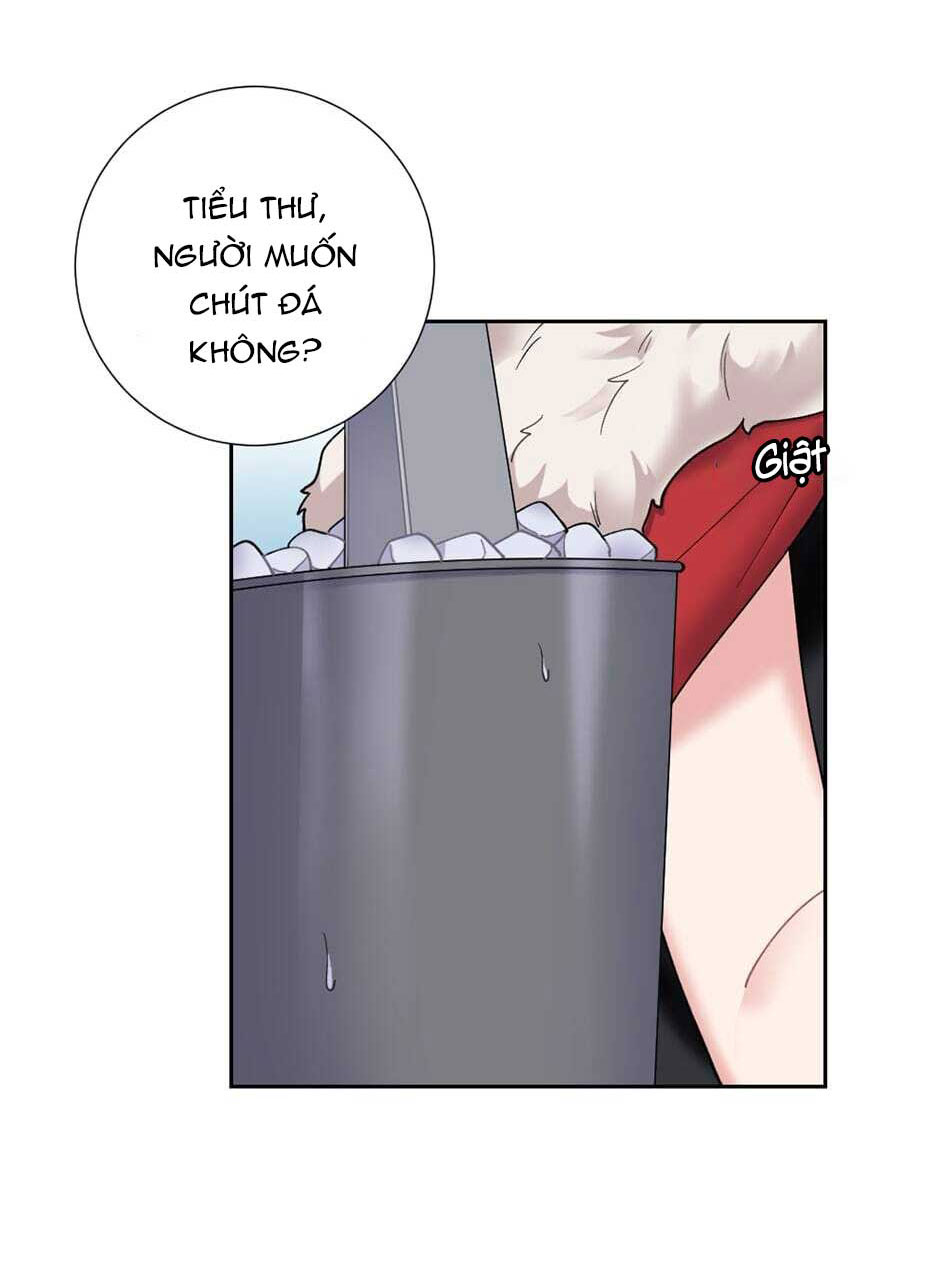 cô chủ và người hầu chapter 25 56