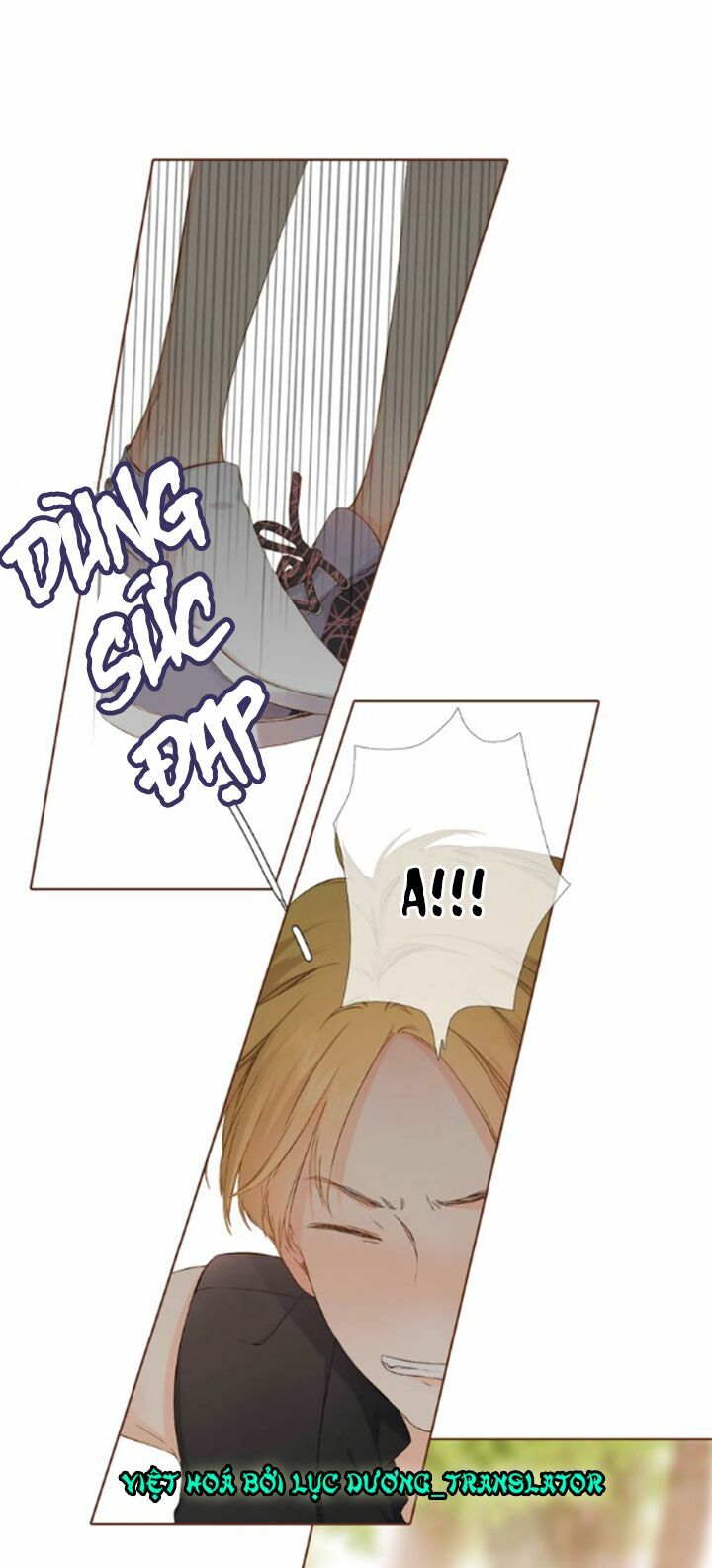 Tình yêu là màu hoa anh thảo chapter 36.1 9