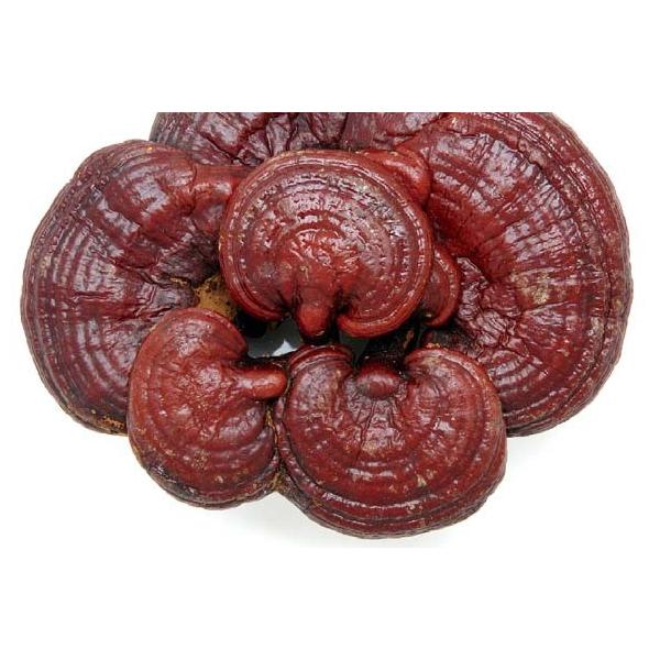 Hồng Chi Phiến 250gr