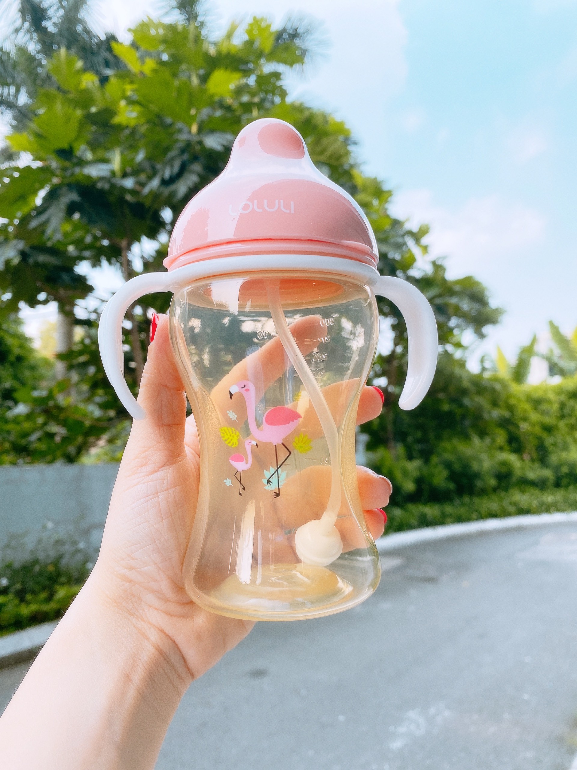 Bình Sữa Loluli PP Cổ Rộng Chống Sặc Cho Bé Chính Hãng - 300ml
