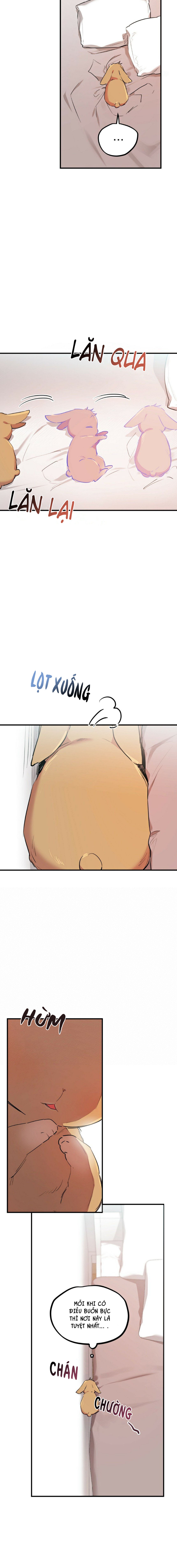 những chú thỏ của hapypy chapter 18 7
