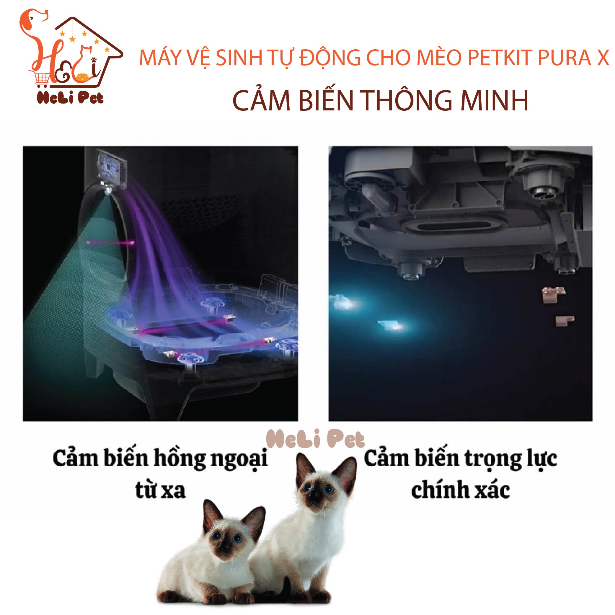 Máy Vệ Sinh, Dọn Phân Mèo Tự Động PETKIT PURA X  2024 - HeLiPet