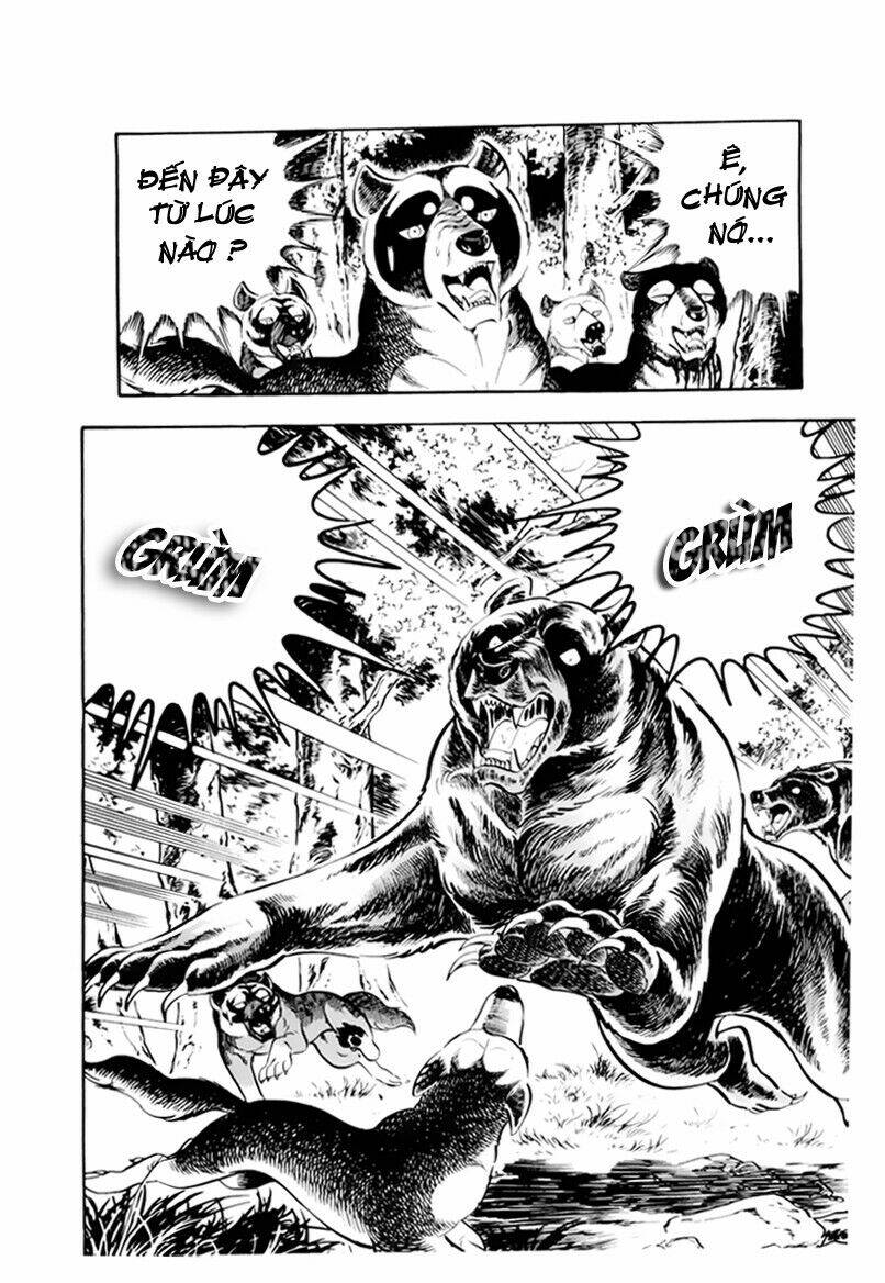 chú chó có nghĩa - ginga nagareboshi gin chapter 32.1 5