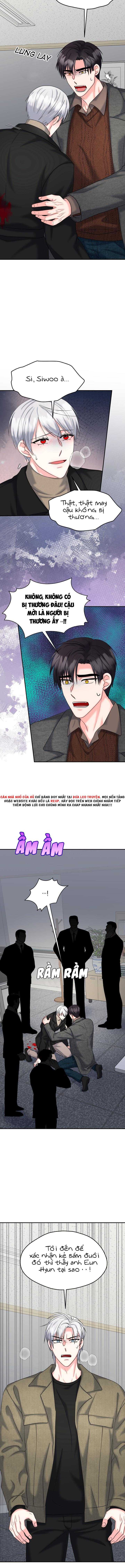 đây là chú thỏ mà bạn (không) đã đặt hàng chapter 22 10