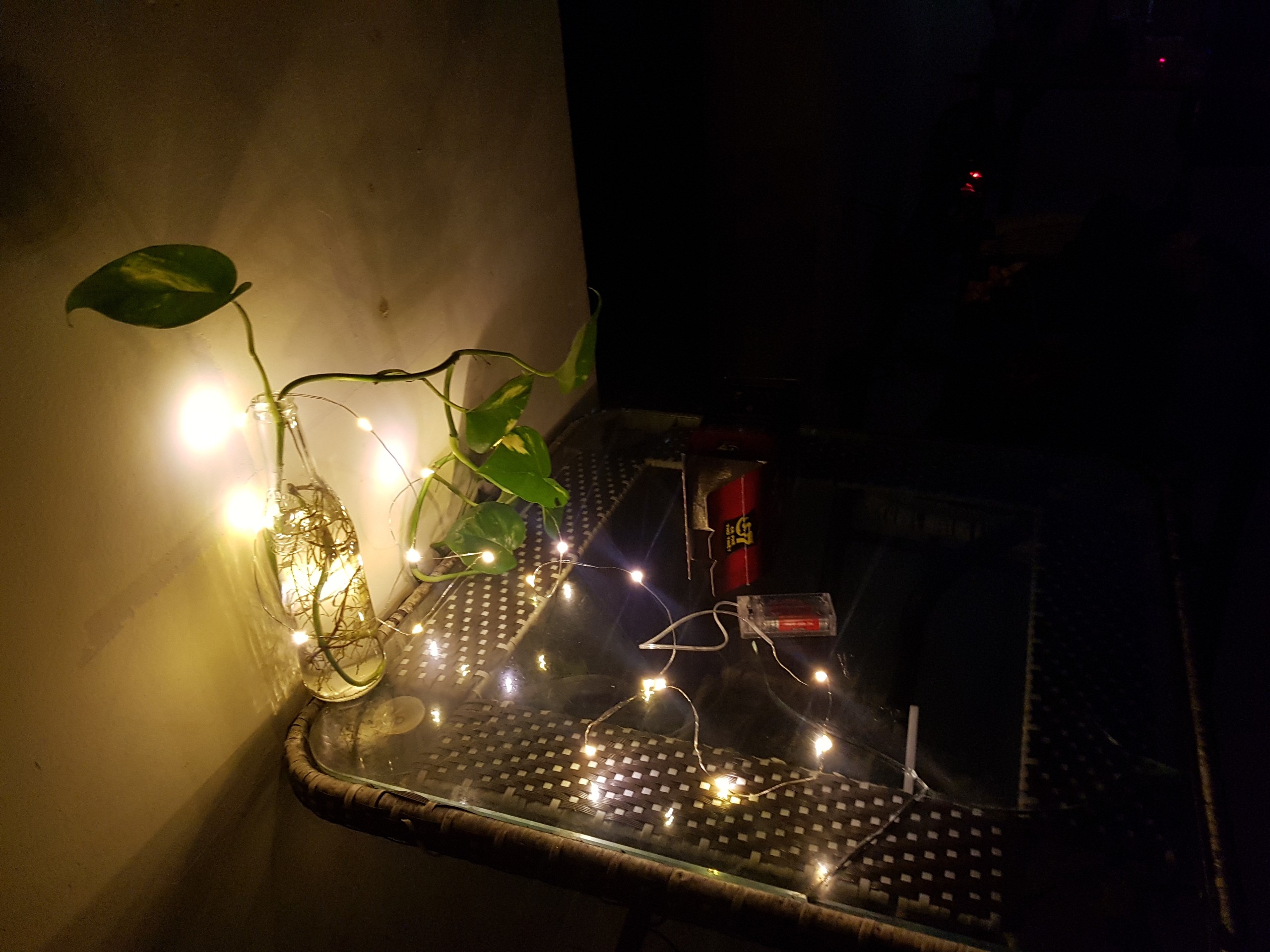 Hình ảnh Dây đèn led đom đóm chụp ảnh, trang trí phòng, hoa,đặt vào bình thủy tinh cổ tích nguồn pin tiểu vàng nắng  2 mét