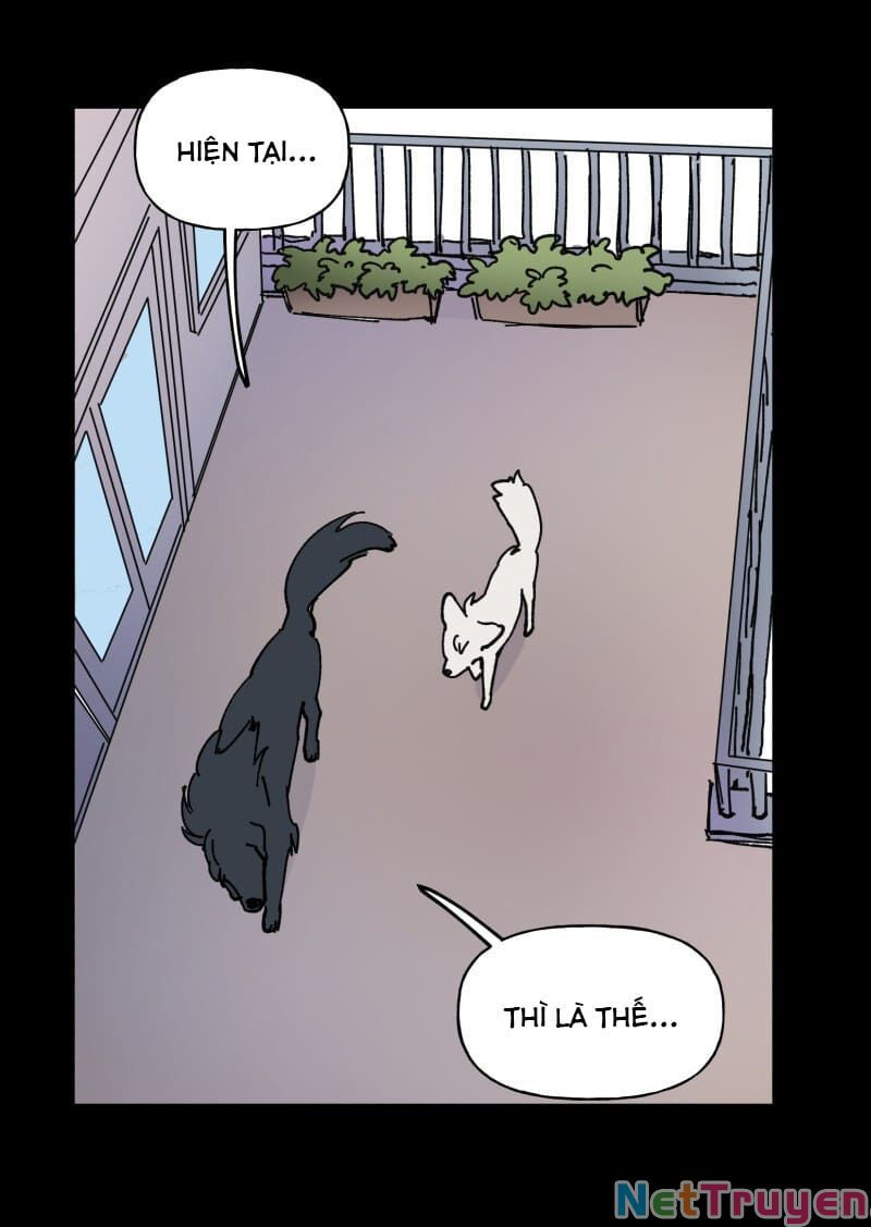 lumine - cội nguồn ánh sáng chapter 109 34