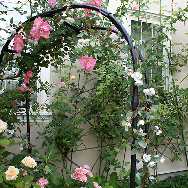 CỔNG VÒM HOA HỒNG LEO cao 3M15 - Dùng làm khung cổng hoa hồng giàn leo, giá đỡ cho cây hoa hồng leo, cây hoa leo - Giúp cây không bị đổ ngã - Tạo không gian đẹp cho khu vườn