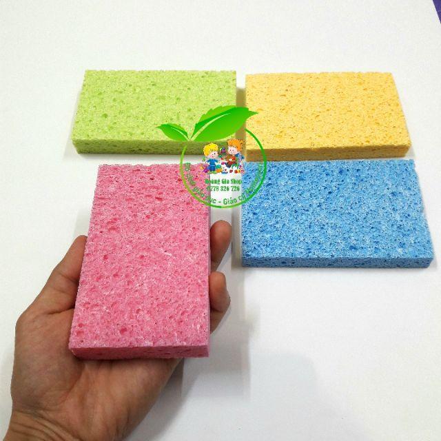 Bọt biển Cellulose Sponges